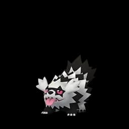 Zigzagoon (Galarian)
