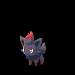Zorua