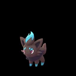 pokemon_name_0570 Shiny