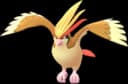 10 Pidgeot Mega Energy