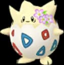 pokemon_name_0175 Pokemon Go Image