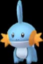Mudkip
