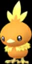 Torchic