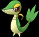 pokemon_name_0495 Pokemon Go Image