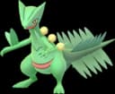25 Sceptile Mega Energy