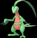pokemon_name_0253 Pokemon Go Image