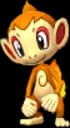 10 Chimchar Candy