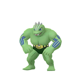 Machoke Pokémon GO In-game Shiny Sprite