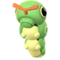 Caterpie
                      
                       Image