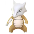 Marowak
                 Image