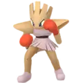 Nockchan (Hitmonchan)
                      
                       Image