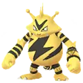 Elektek (Electabuzz)
                      
                       - Spring 2023 Instinct Image