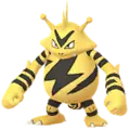 Electabuzz
                 Image