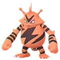 Elektek (Electabuzz)
                      
                       Shiny Image