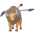 Tauros
                      
                       Image