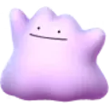 Ditto
                      
                       Image