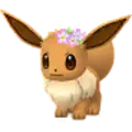 Eevee
                      
                       - Flower Image