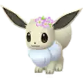 Eevee
                      
                       - Flower Shiny Image