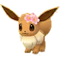 Eevee
                      
                       - Spring 2023 Image