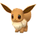 Evoli (Eevee)
                      
                       Image