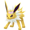 Jolteon
                      
                       - Flower Image