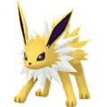 Jolteon
                 Image