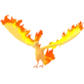 Moltres
                      
                       Image