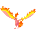 Moltres
                      
                       Shiny Image