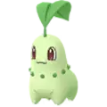 Endivie (Chikorita)
                      
                       Image