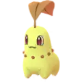 Endivie (Chikorita)
                      
                       Shiny Image