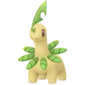 Bayleef
                      
                       Image