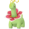 Meganium
                 Image