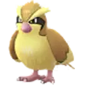 Pidgey
                      
                       Image