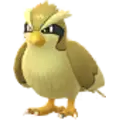 Taubsi (Pidgey)
                      
                       Shiny Image