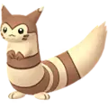 Wiesenior (Furret)
                      
                       Image