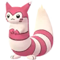 Furret
                      
                       Shiny Image