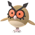 Hoothoot
                      
                       Image