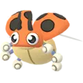 Ledyba
                 Image