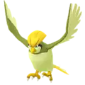 Tauboga (Pidgeotto)
                      
                       Shiny Image