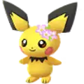 Pichu
                      
                       - Flower Shiny Image