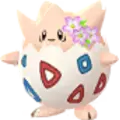 Togepi
                      
                       - April 2020 Noevolve Shiny Image