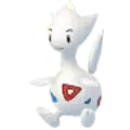 Togetic
                 Image