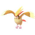 Pidgeot
                      
                       Image