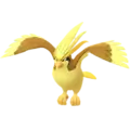 Pidgeot
                      
                       Shiny Image