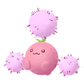 Papungha (Jumpluff)
                      
                       Shiny Image