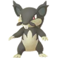 Rattata
                       - Alola
                       Image