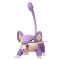 Rattfratz (Rattata)
                      
                       Image