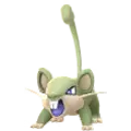 Rattata
                      
                       Shiny Image