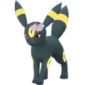 Umbreon (null)
                      
                       - Flower Image