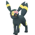 Umbreon (null)
                      
                       - Spring 2023 Image